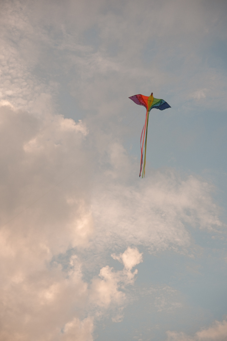 422D8DEE D72C 4E61 8846 36E229C7C49C_1_105_c